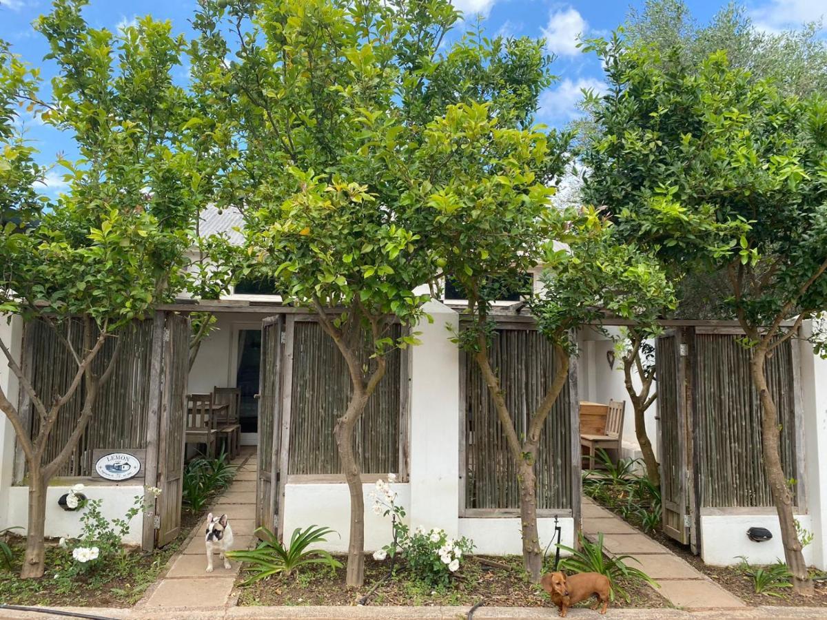 Galileo Farm Villa Elgin  Bagian luar foto