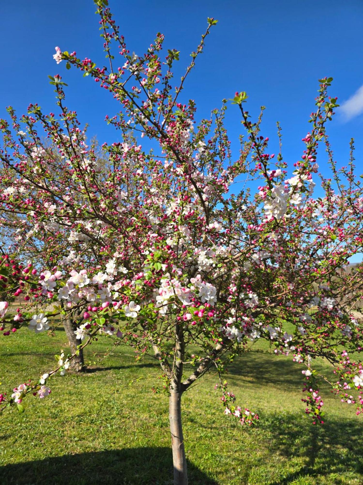 Galileo Farm Villa Elgin  Bagian luar foto