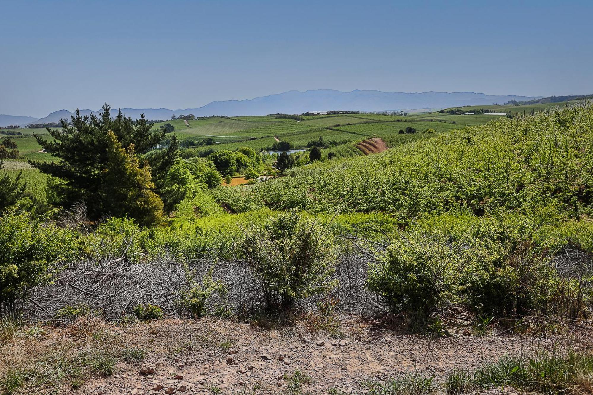 Galileo Farm Villa Elgin  Bagian luar foto